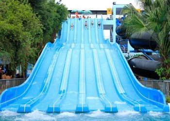 [Top 7] Đây Chính Là Lý Do Công Viên Nước Sài Gòn Hot Đến Thế!