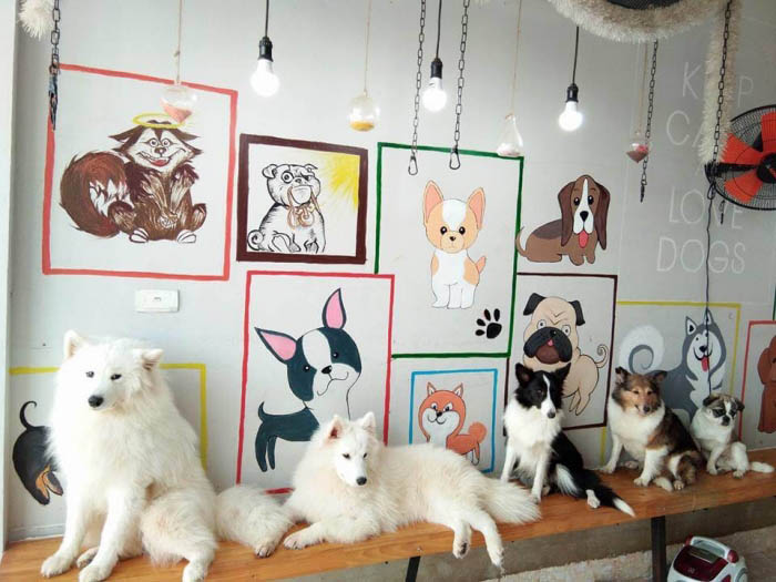 Quán cafe thú cưng ở Sài Gòn