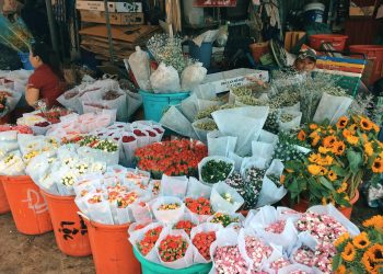 Top 10 Chợ Đầu Mối Sài Gòn Bỏ Sỉ Uy Tín Nhất Thành Phố