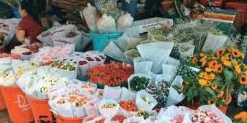 Top 10 Chợ Đầu Mối Sài Gòn Bỏ Sỉ Uy Tín Nhất Thành Phố