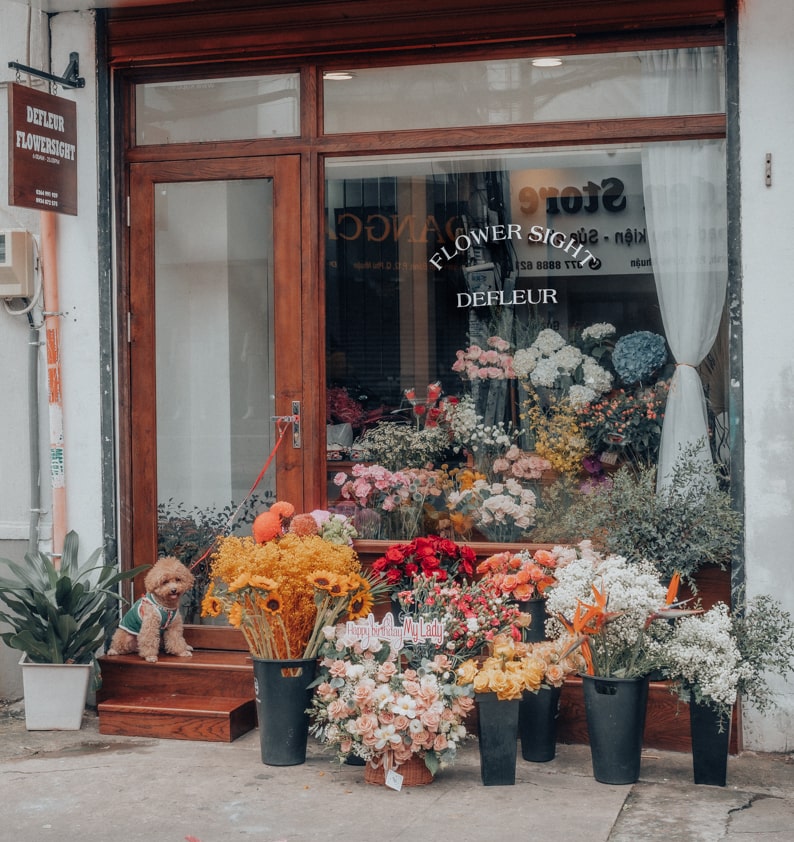 Shop Hoa Flowersight 