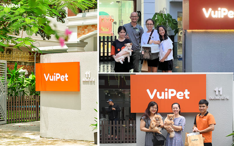 Khách hàng hài lòng về chất lượng chó cảnh tại VuiPet