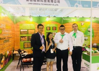 công ty cây xanh tại thành phố Hồ Chí Minh