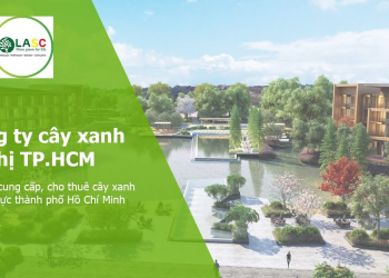 Công ty cây xanh TPHCM