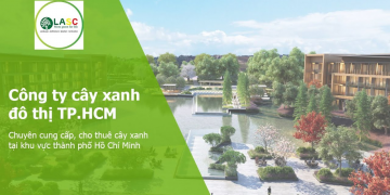 Công ty cây xanh TPHCM