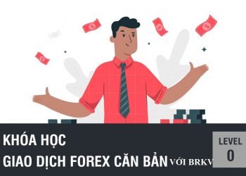 CHIẾN LƯỢC FOREX FREE DÀNH CHO CÁC TRADER