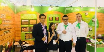 thiết kế cảnh quan resort
