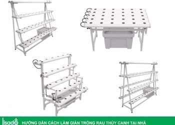 Hướng dẫn cách làm giàn trồng rau thủy canh tại nhà