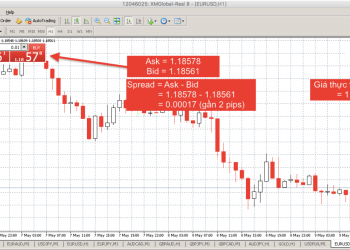 Mẹo Sử Dụng Các Lệnh Trong Forex Một Cách Hiệu Quả