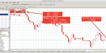 Mẹo Sử Dụng Các Lệnh Trong Forex Một Cách Hiệu Quả
