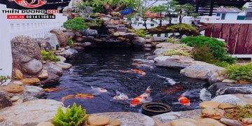 Những Mẹo Cần Biết Khi Thiết Kế Hồ Cá Koi Ngoài Trời