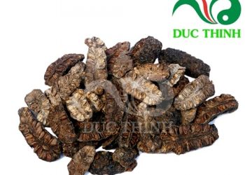 Trái Nhàu Khô Có Công Dụng Gì?