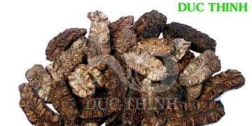 Trái Nhàu Khô Có Công Dụng Gì?