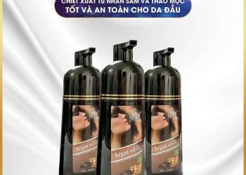 hướng dẫn sử dụng