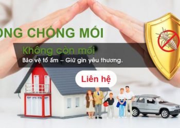 Cùng Điểm Qua Top 12 Địa Điểm Diệt Mối Tận Gốc Tại TPHCM