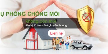 Cùng Điểm Qua Top 12 Địa Điểm Diệt Mối Tận Gốc Tại TPHCM