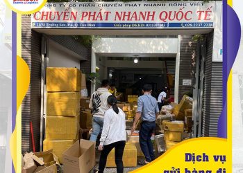 Tham Khảo Bảng Giá Gửi Hàng Đi Mỹ Tại Dragon Express Mới Nhất