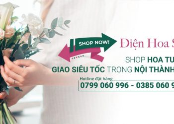 Khám Phá Top 5 Hoa Sinh Nhật Đẹp Nhất