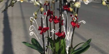 shop hoa tươi đẹp
