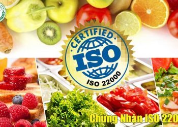 Dịch vụ cấp giấy chứng nhận ISO 22000