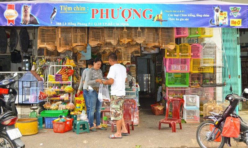 Tiệm Chim Cảnh Phượng Sài Gòn