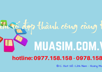 sim tứ quý năm sinh