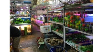 cửa hàng thủy sinh tphcm