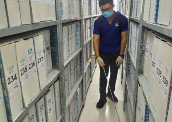 diệt mối quận 2