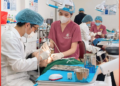 Aesthetic Dentistry Near Me Should Mean Skill First, Convenience Second